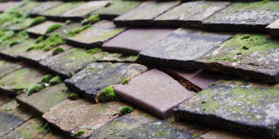 Larton roof repair costs